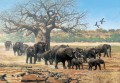 elephant herd with saddle billed storks and baobab